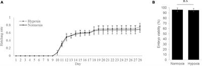 miRNA–mRNA Integrative Analysis Reveals the Roles of miRNAs in Hypoxia-Altered Embryonic Development- and Sex Determination-Related Genes of Medaka Fish